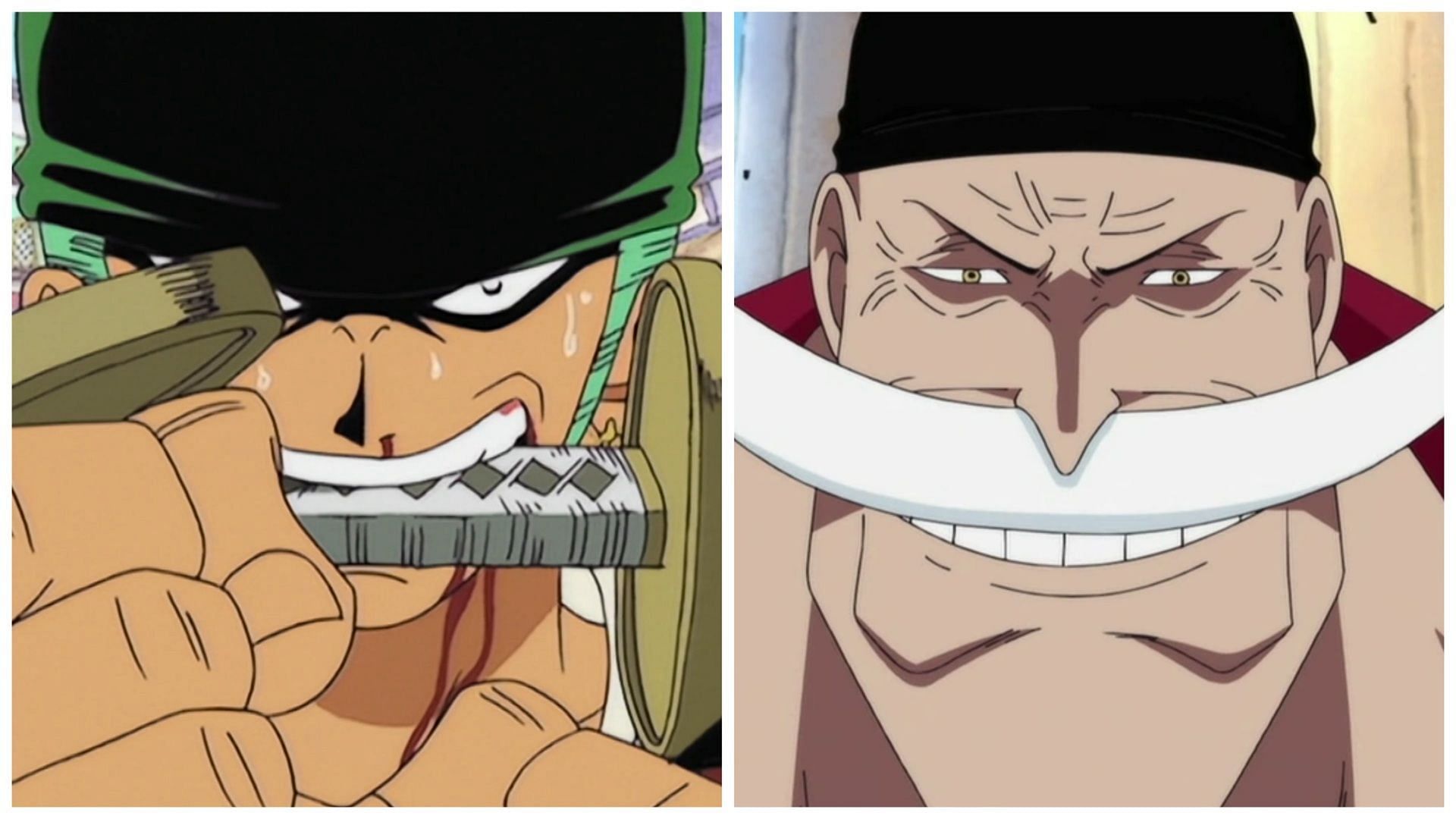Zoro and Whitebeard's trademark headbands in One Piece (Image via Toei Animation)